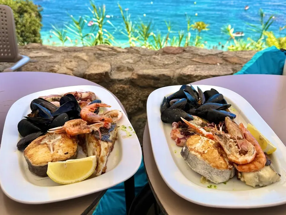 Seafood lunch overlooking the harbour